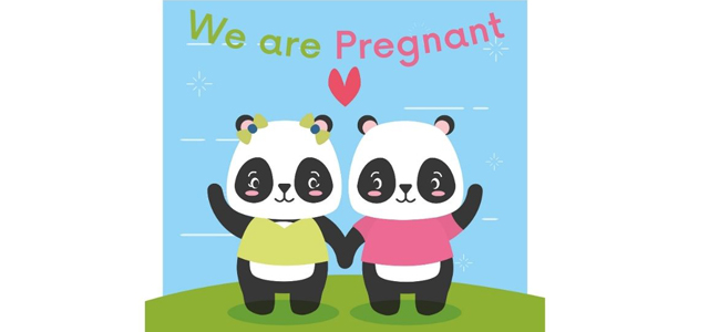 Bear couple announcing we are pregnant - no hush up