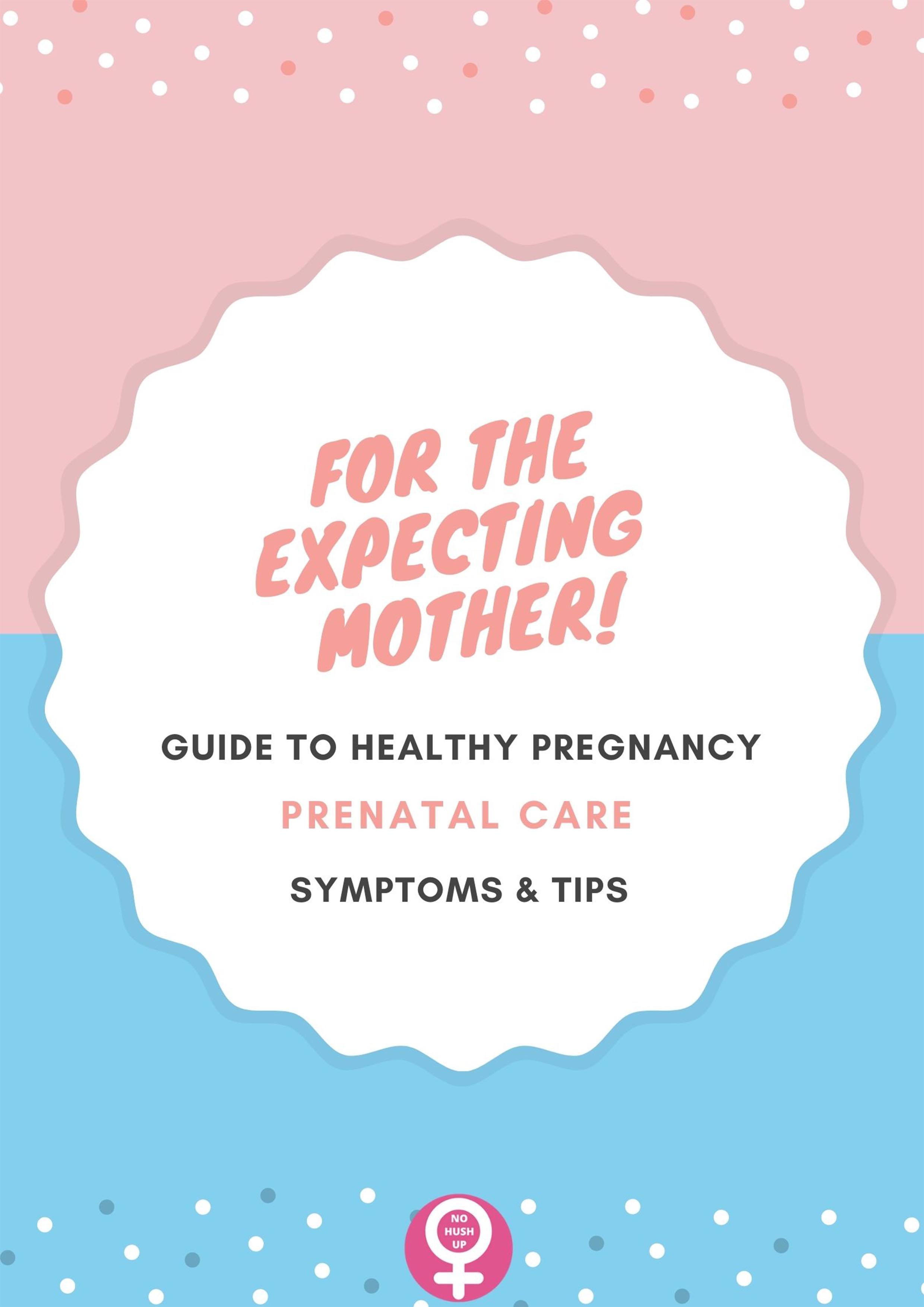 All Trimester Pregnancy Symptoms & Tips Ebook from No Hush Up